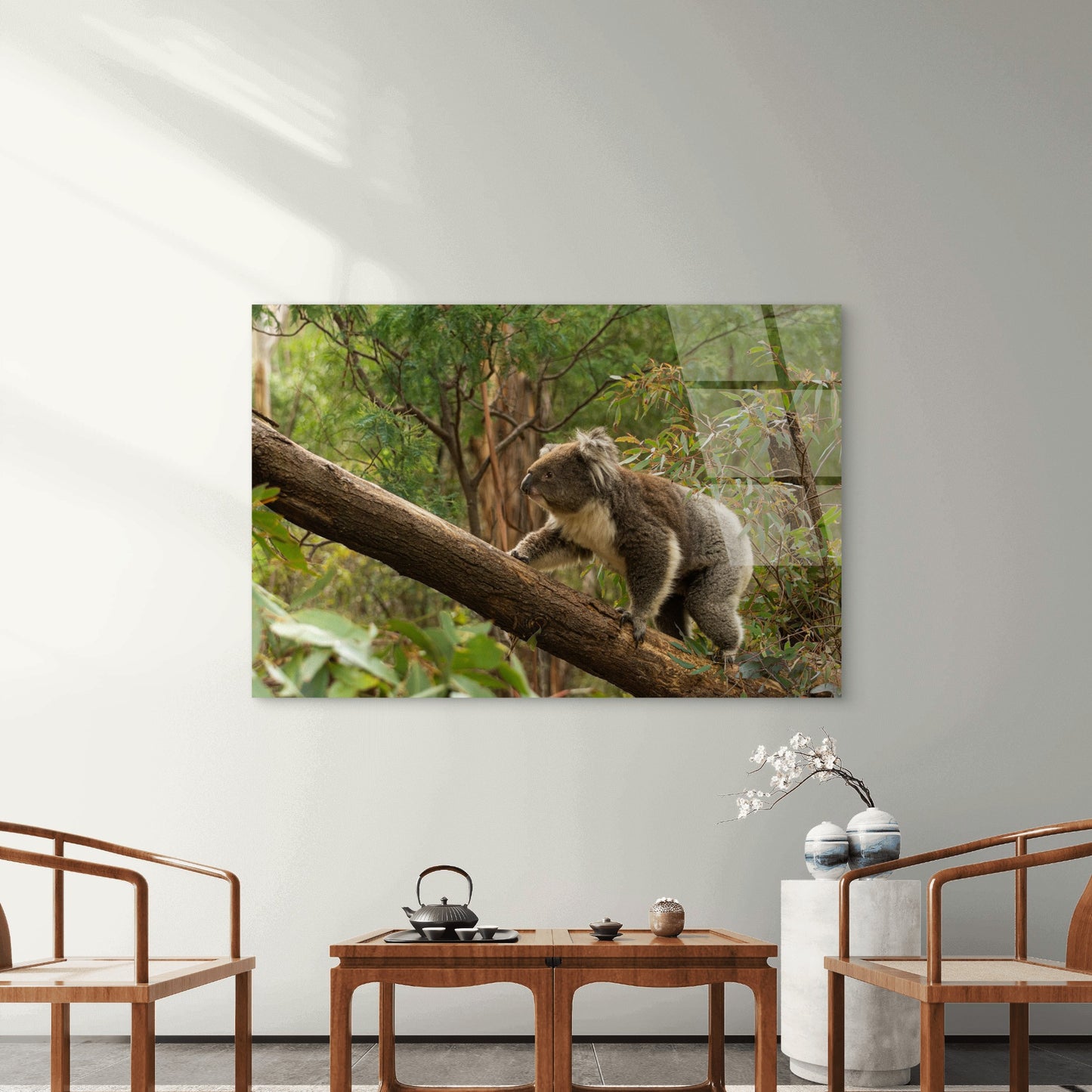 Aussie Wild Koala Bear Native Forest Acrylic Glass Printing Wall Art Australian Made Quality