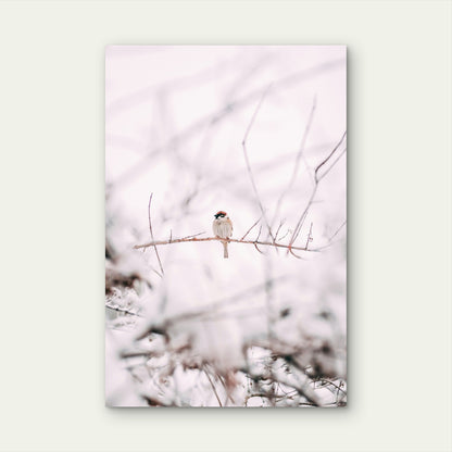 Eurasian Tree Sparrow On Tree Branch 40x60cm Metal Print Ready to Hang