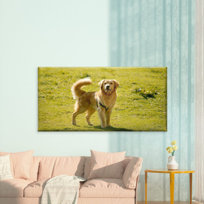 Golden Retriever In Field Wall Art Canvas Office Home Room Framed 120x60cm - Bella Home Decor