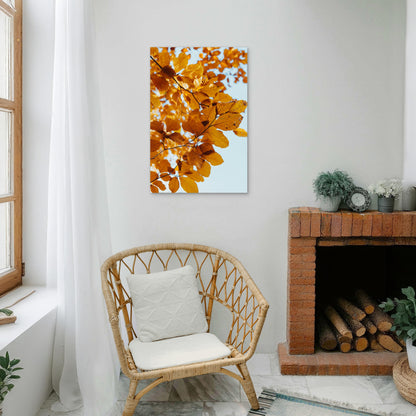 Golden Autumn Leaves Of A European Beech Tree 60x90cm Metal Print Ready to Hang