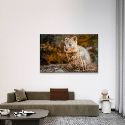 Quokka Western Australia Wall Art Decor 100% Australian Made