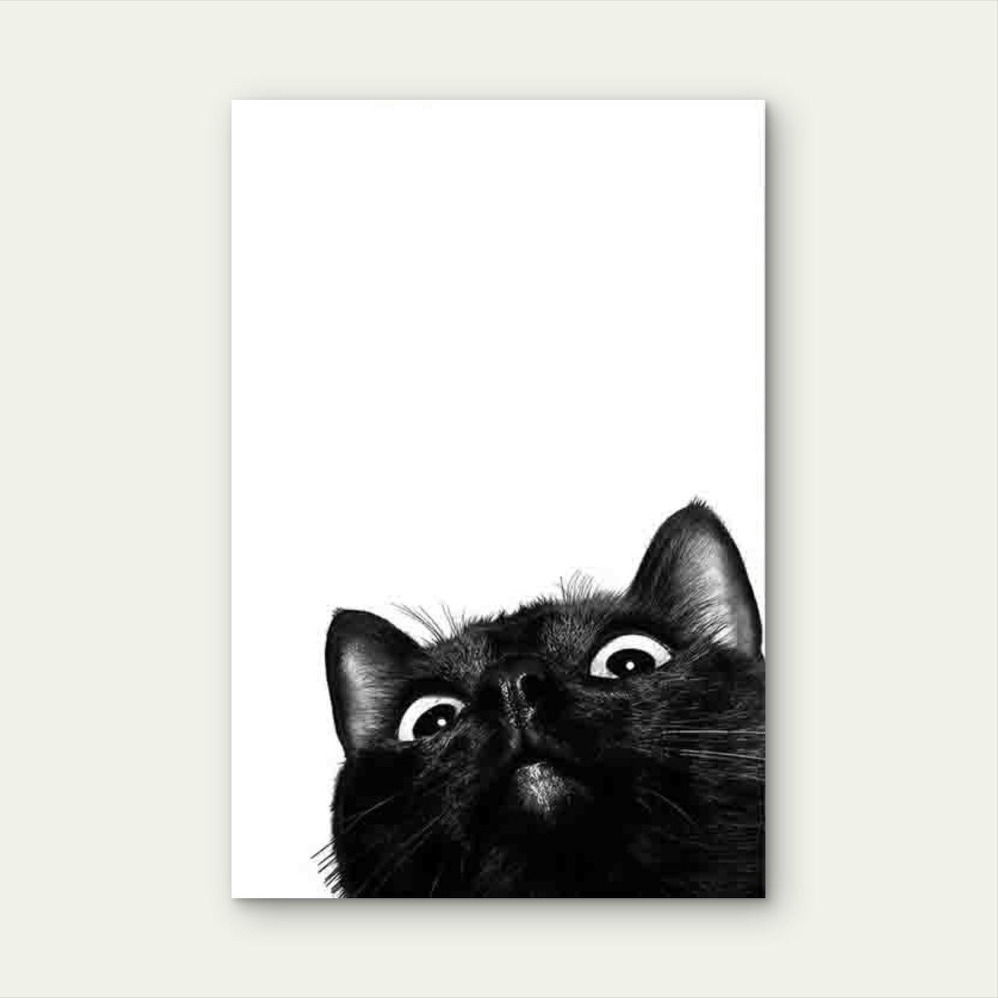 Playful Black Cat On White Background 60x90cm Metal Print Ready to Hang