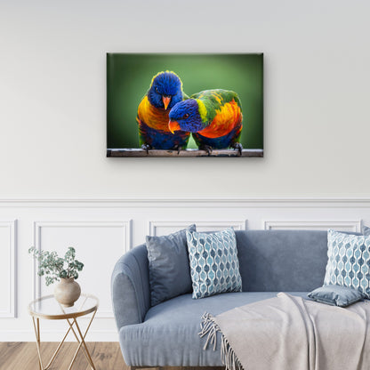 Iconic Pair Native Rainbow Lorikeet Parrot Wildlife Species Australia Wall Art Decor 100% Australian Made