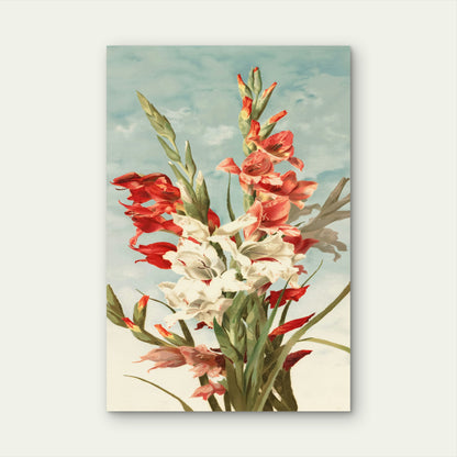 Illustration of Gladiolus Flowers 40x60cm Metal Print Ready to Hang