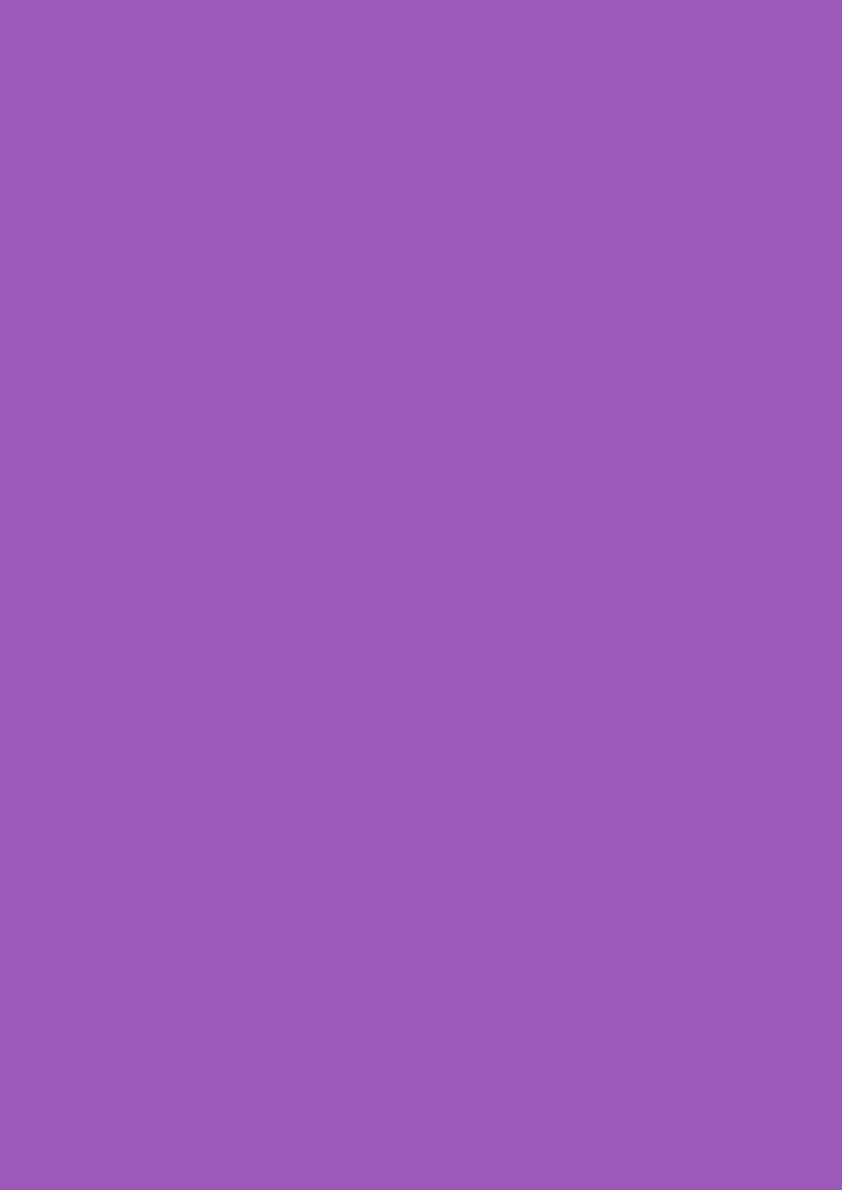 Colour Purple Amethyst - A4