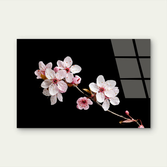 Cherry Blossom Pink Flower Branch Acrylic Glass Printing Wall Art Australian Made Quality