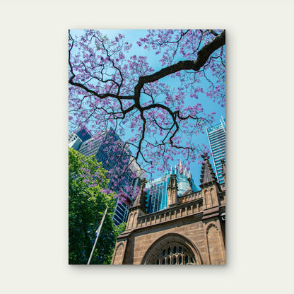 Jacaranda Tree Set Against A Cityscape 40x60cm Metal Print Ready to Hang