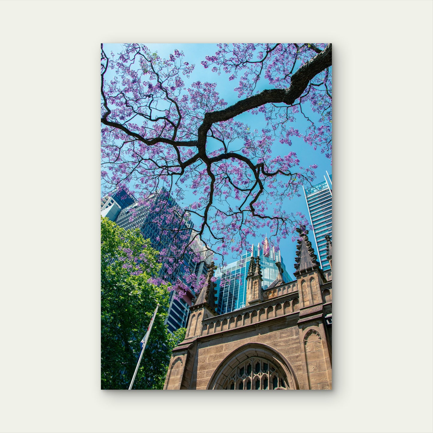 Jacaranda Tree Set Against A Cityscape 60x90cm Metal Print Ready to Hang
