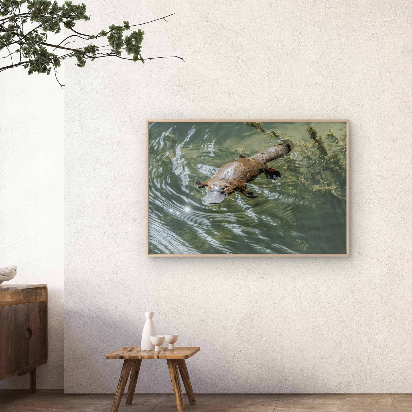 Platypus Eungella National Park Queensland Wall Art Decor 100% Australian Made