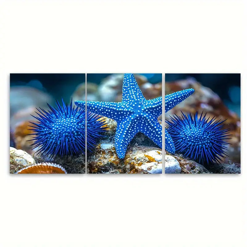 3pcs Blue Starfish & Sea Urchin Ocean Wall Art Set Canvas Framed 60x90cm - High Quality Print 100% Australian Made Wall Canvas Ready to Hang - Bella Home Decor