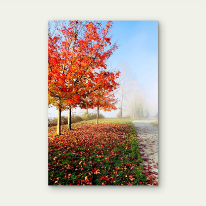 Autumn Red Maple Tree Misty Park Path 40x60cm Metal Print Ready to Hang