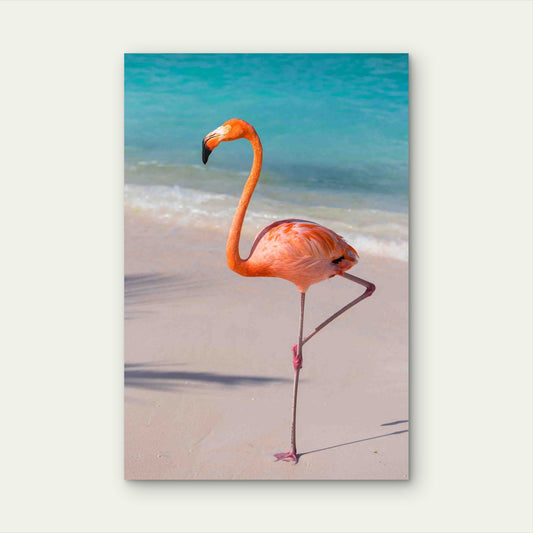 Vibrant Flamingo Gracing the Tropical Coastlin 40x60cm Metal Print Ready to Hang