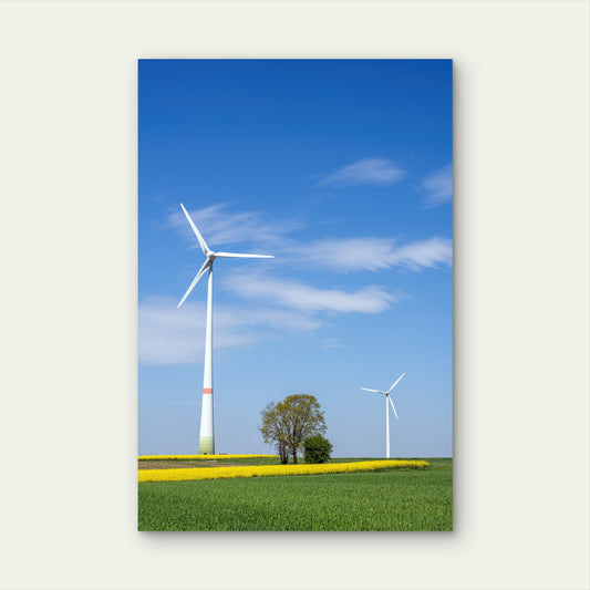 Wind Turbine Rapeseed Field Germany 40x60cm Metal Print Ready to Hang