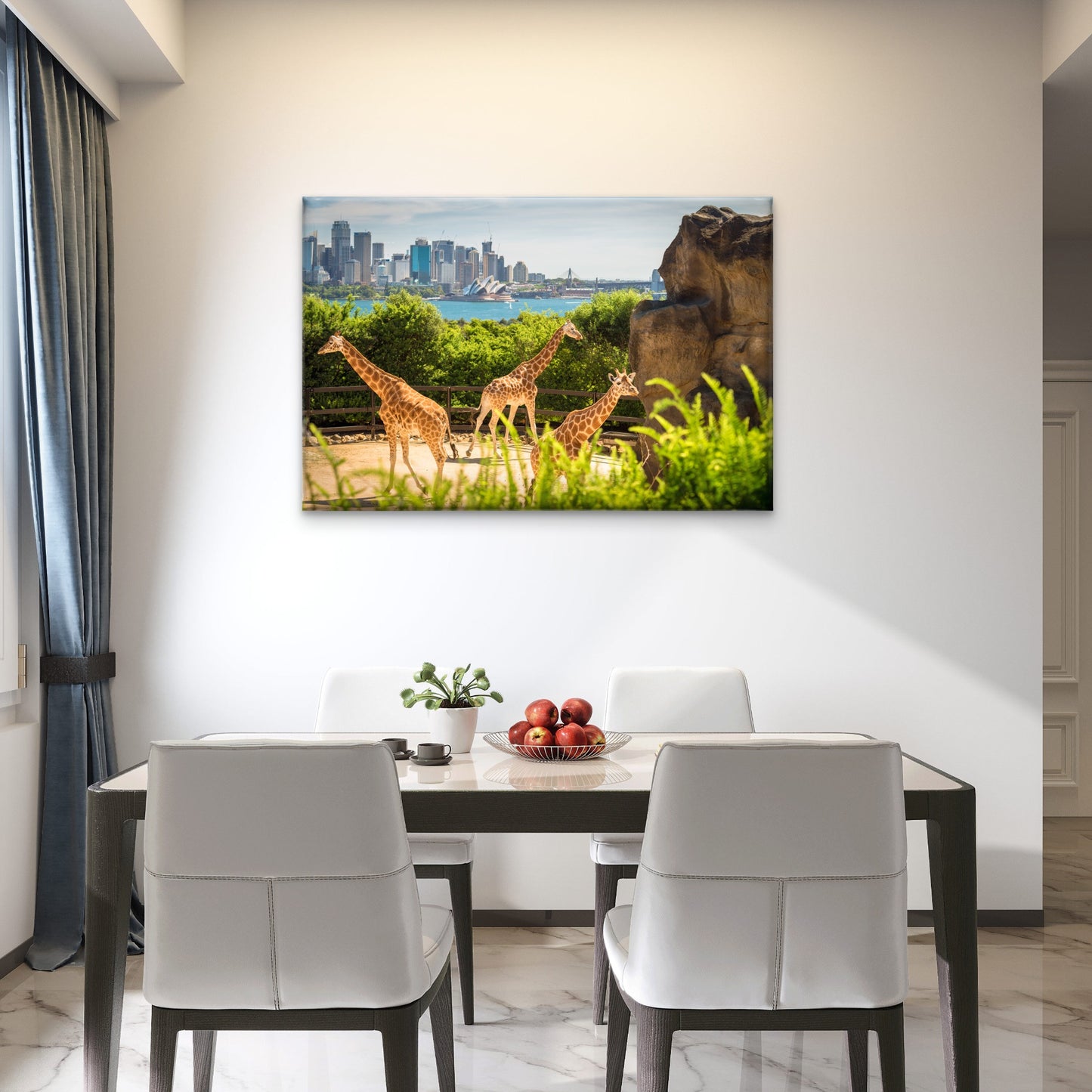 Giraffes in Taronga Zoo, Sydney, New South Wales (NSW), Australia Canvas Print Wall Art Decor 100% Australian Made