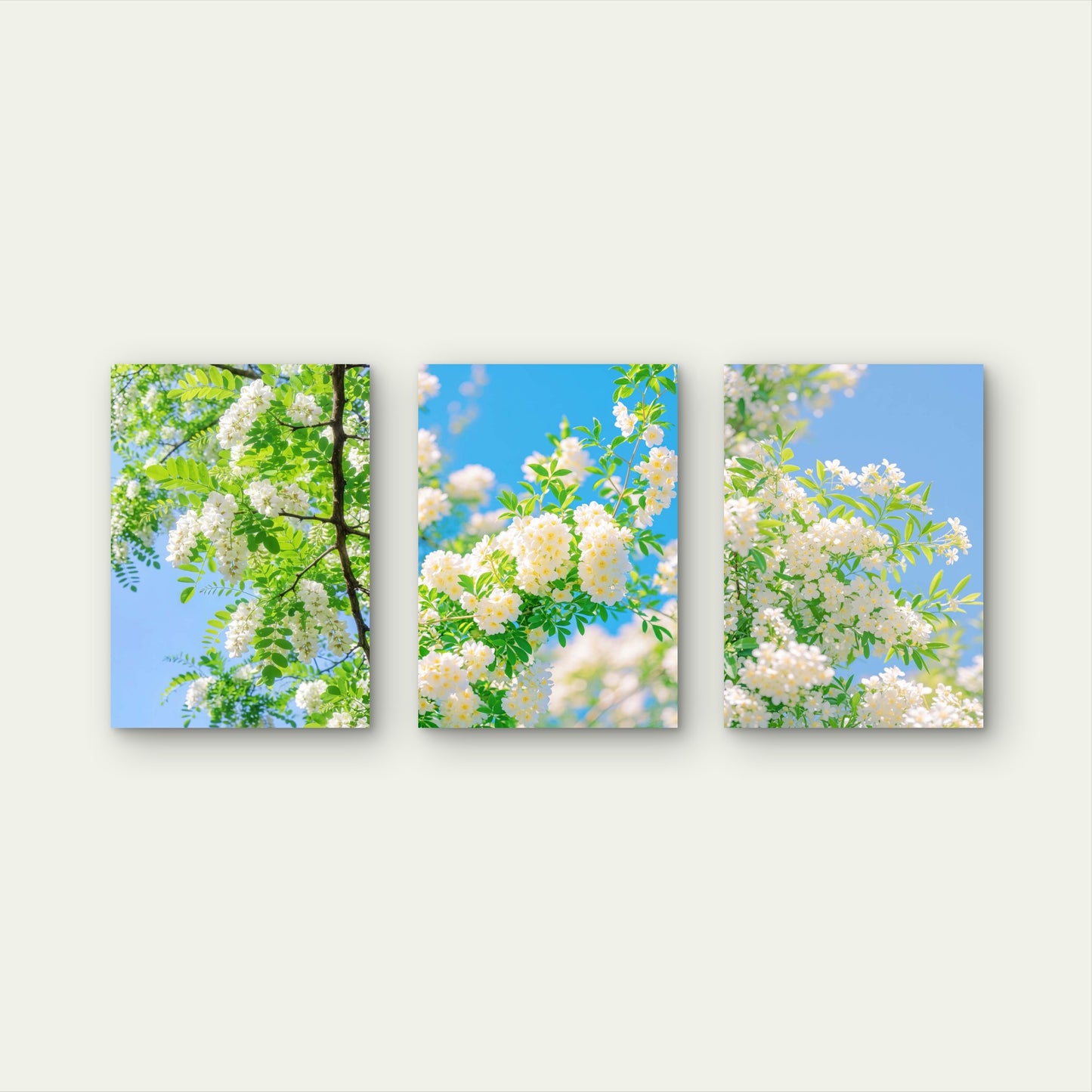3pcs Bright White Spring Blossom Tree Branch   Wall Art Set Canvas Framed 40x60cm - High Quality Print 100% Australian Made Wall Canvas Ready to Hang