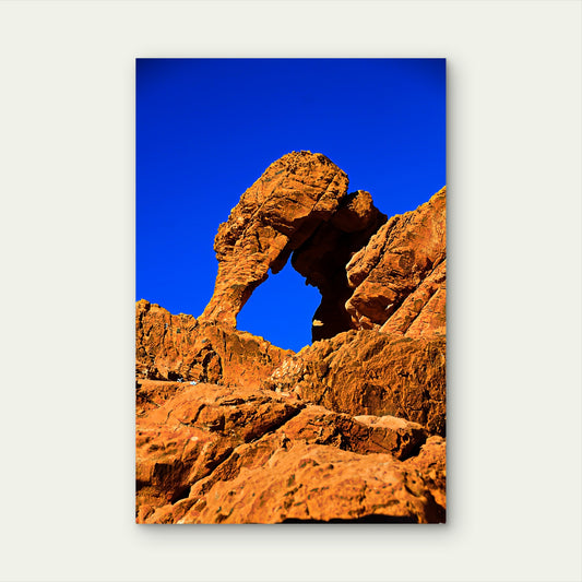 Elephant Rock Valley Of Fire Nevada 40x60cm Metal Print Ready to Hang