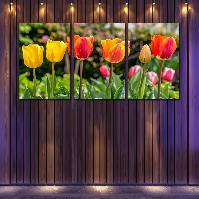 3pcs Vibrant Tulip Florals Illustration Wall Art Set Canvas Framed 50x70cm - High Quality Print 100% Australian Made Wall Canvas Ready to Hang