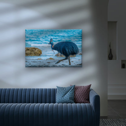 Southern Cassowary Striding Along the Sandy Beaches of Etty Bay, Queensland Wall Art Decor 100% Australian Made