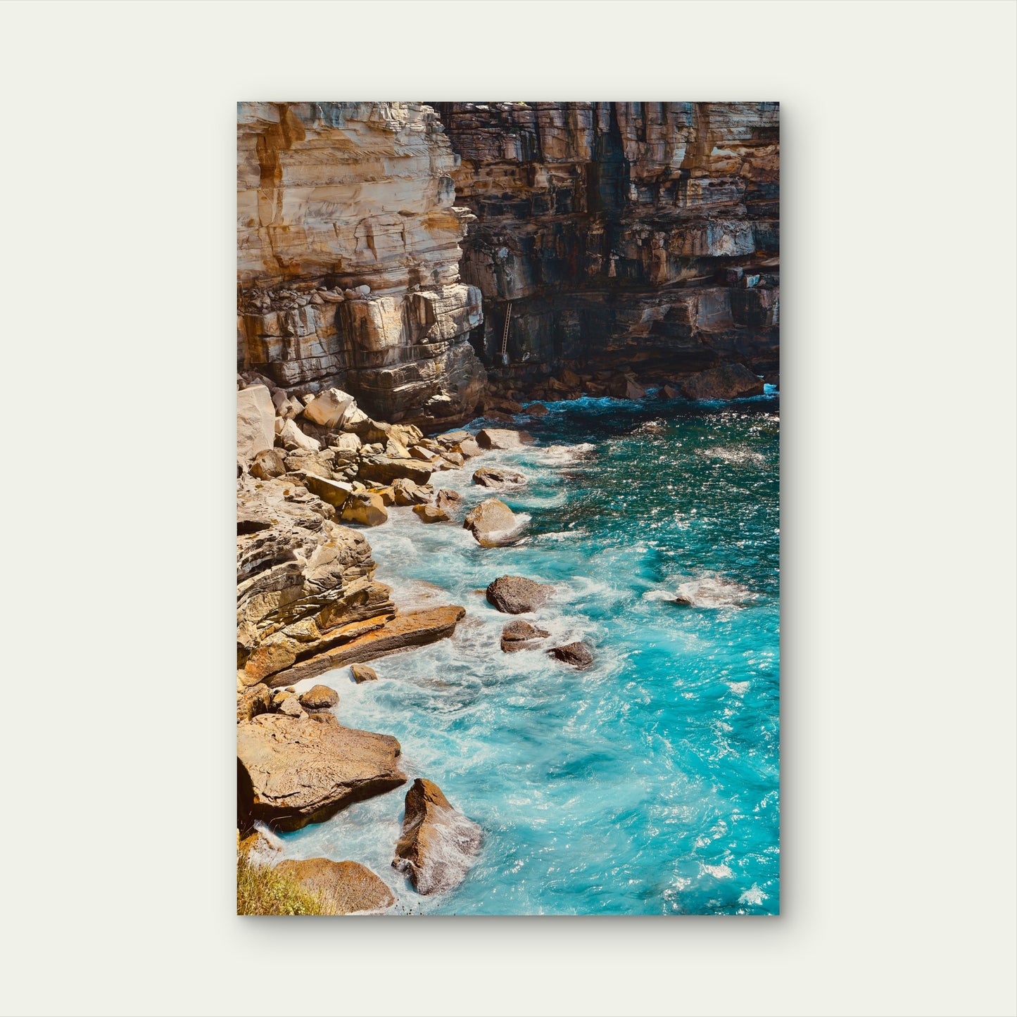 Diamond Bay Reserve In Vaucluse Sydney Australia 40x60cm Metal Print Ready to Hang
