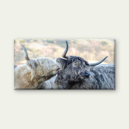 Highland Cows Wall Art Canvas Office Home Room Framed 120x60cm
