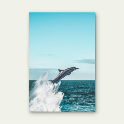 Dolphin Leaping Out of the Water 60x90cm Metal Print Ready to Hang