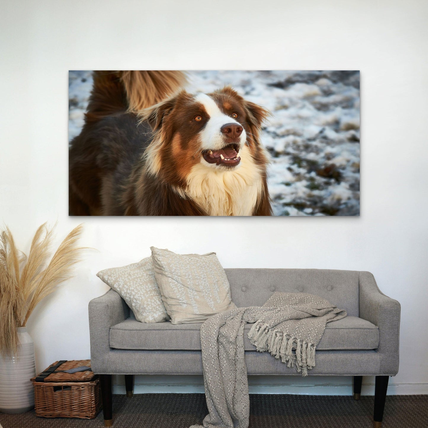 Red Tri Australian Shepherd Dog Wall Art Canvas Office Home Room Framed 120x60cm