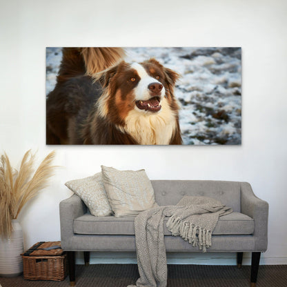 Red Tri Australian Shepherd Dog Wall Art Canvas Office Home Room Framed 120x60cm