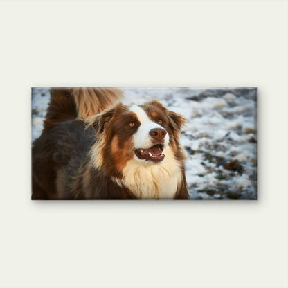 Red Tri Australian Shepherd Dog Wall Art Canvas Office Home Room Framed 120x60cm