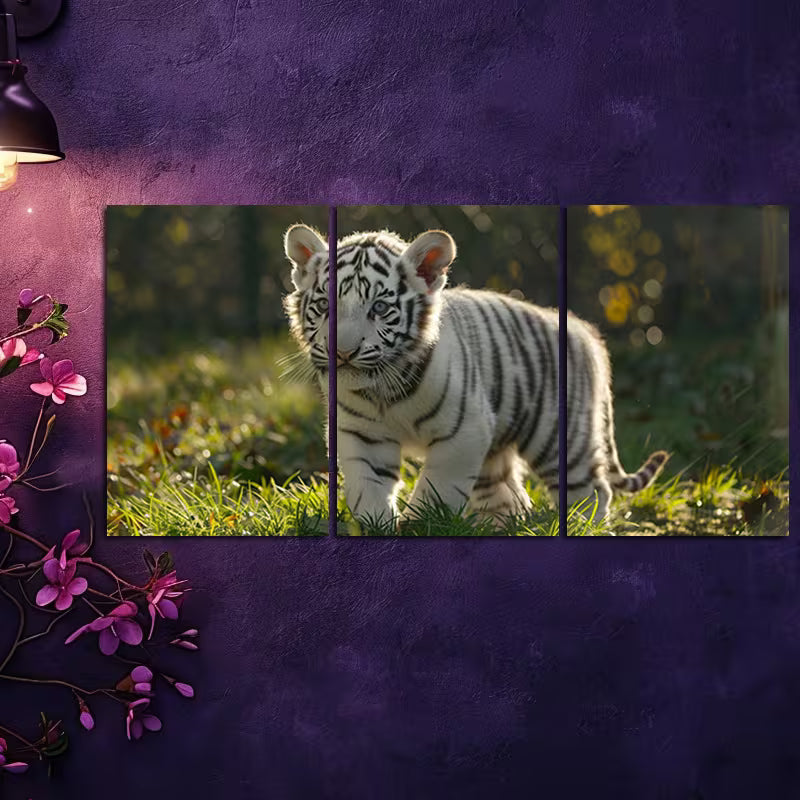 3pcs Cute White Tiger Cub Wall Art Set Canvas Framed 60x90cm - High Quality Print 100% Australian Made Wall Canvas Ready to Hang - Bella Home Decor