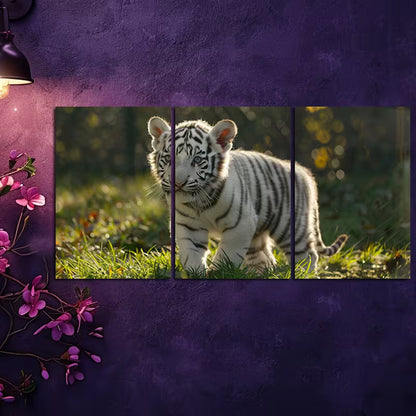 3pcs Cute White Tiger Cub Wall Art Set Canvas Framed 60x90cm - High Quality Print 100% Australian Made Wall Canvas Ready to Hang - Bella Home Decor