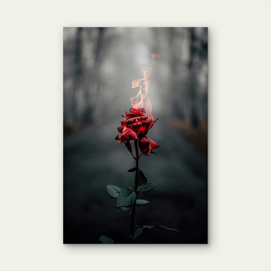 Photo Of Burning Rose 60x90cm Metal Print Ready to Hang