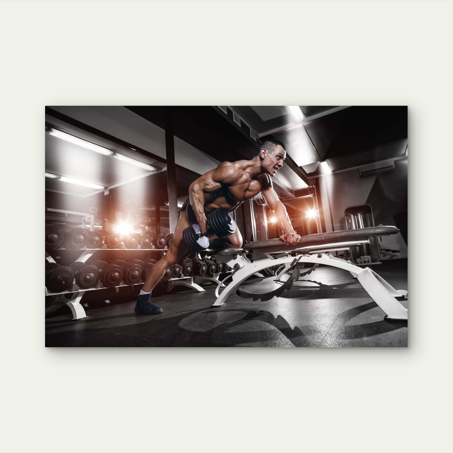Bodybuilding Man Dumbbell Workout 5mm thick Plastic Poster Ready to Hang 90x60cm