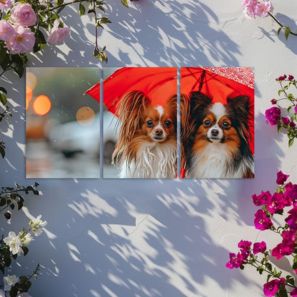 3pcs Two cute papillon dogs Wall Art Set Canvas Framed 40x60cm - High Quality Print 100% Australian Made Wall Canvas Ready to Hang