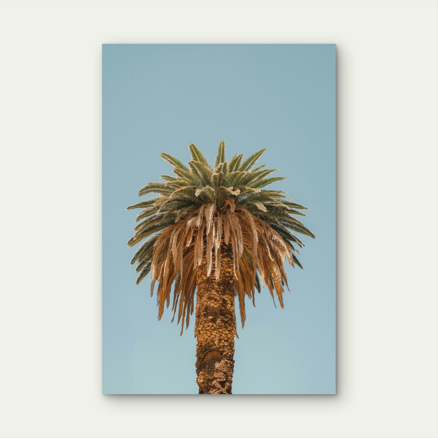 Tall Palm Tree Against Clear Blue Sky 40x60cm Metal Print Ready to Hang