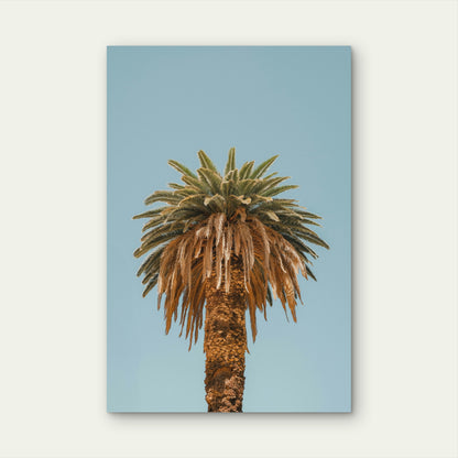 Tall Palm Tree Against Clear Blue Sky 40x60cm Metal Print Ready to Hang