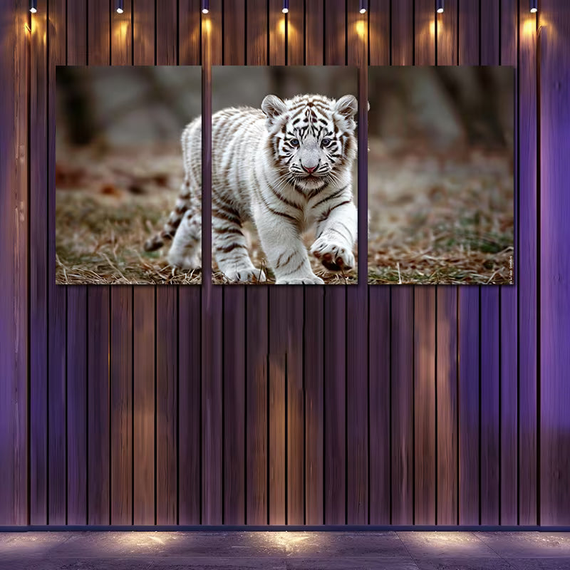 3pcs White Tiger Cub Illustration Wall Art Set Canvas Framed 40x60cm - High Quality Print 100% Australian Made Wall Canvas Ready to Hang