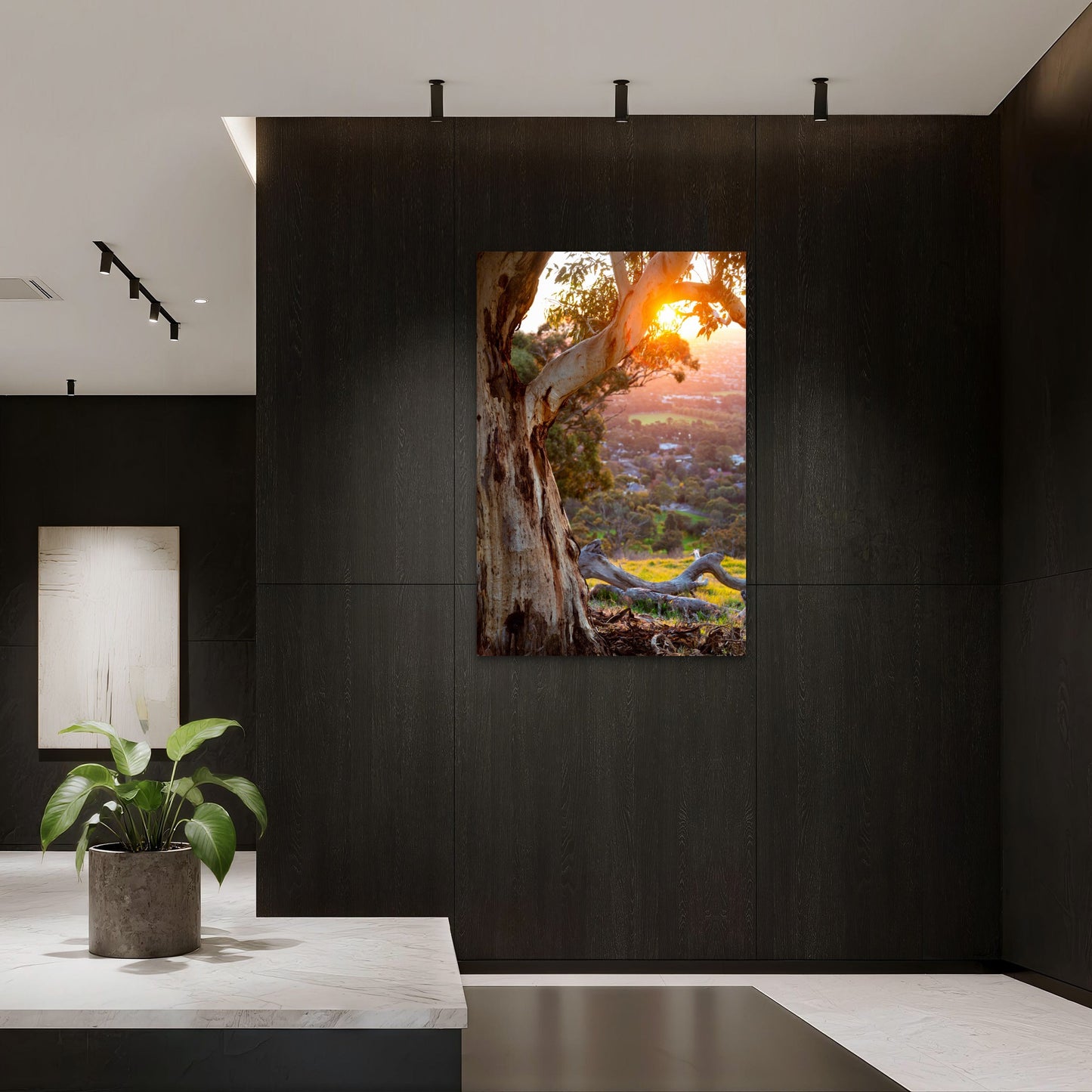 Adelaide Hills Mount Lofty South Australia 40x60cm Metal Print Ready to Hang