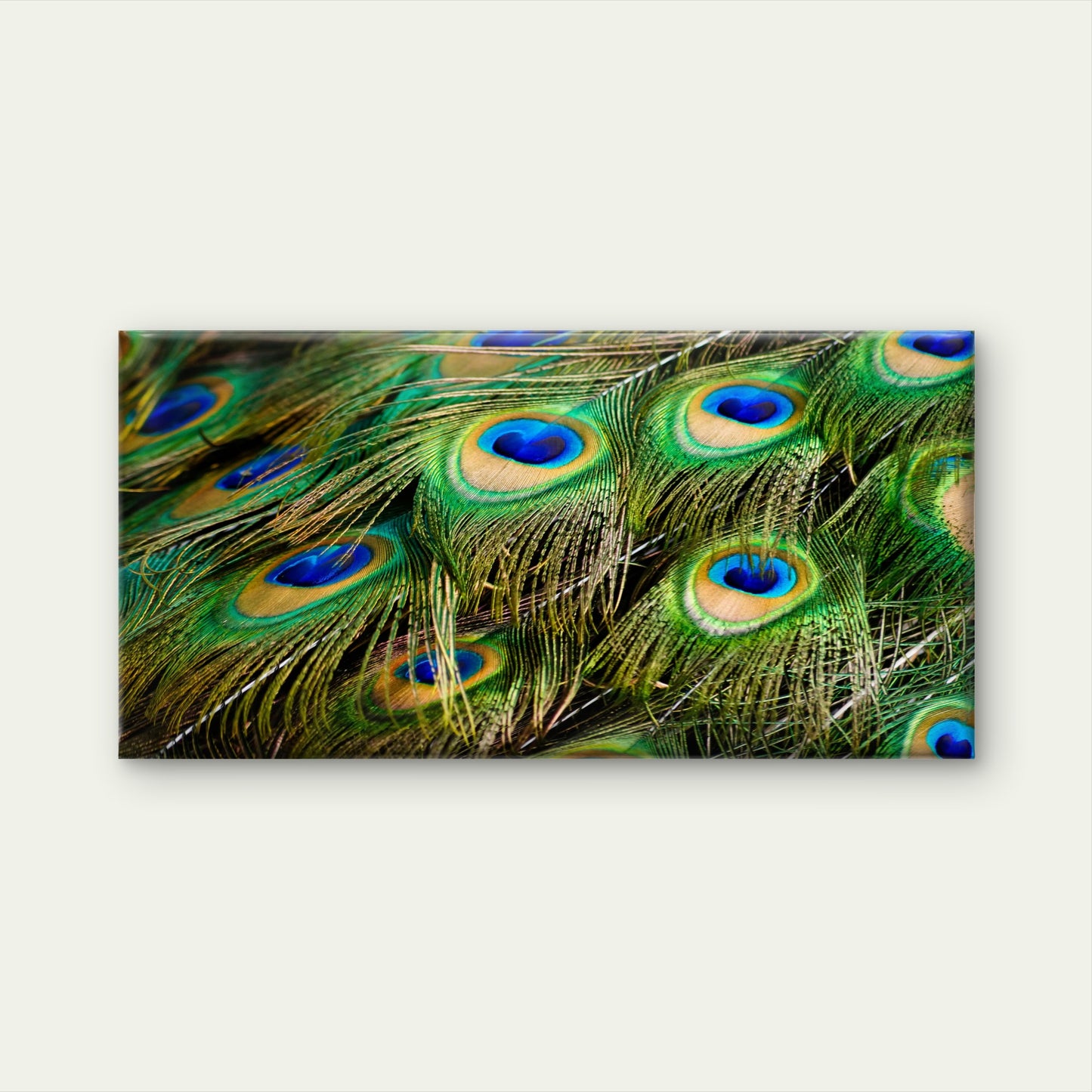 Peacock Feather Close Up Wall Art Canvas Office Home Room Framed 120x60cm