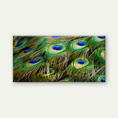 Peacock Feather Close Up Wall Art Canvas Office Home Room Framed 120x60cm
