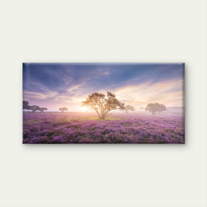 Misty Purple Heather Fields Sun Wall Art Canvas Office Home Room Framed 120x60cm