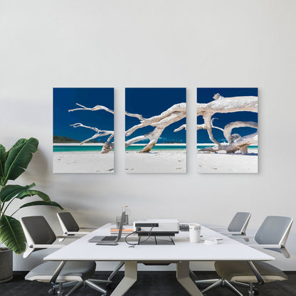 3pcs Whitehaven Beach With White Sand Metal Print Ready to Hang Art