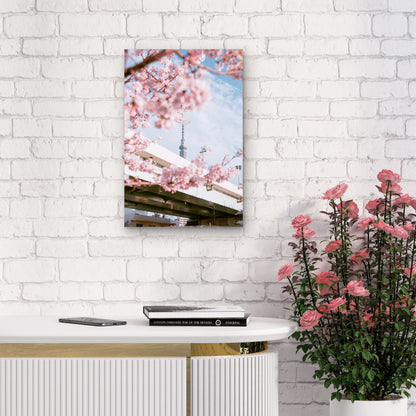 View Of The Tokyo Skytree Framed By Cherry Blossoms 40x60cm Metal Print Ready to Hang