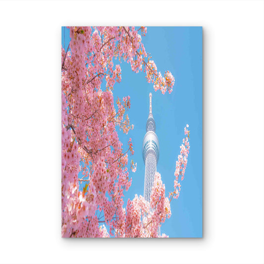 Spring Splendor At Tokyo Skytree 40x60cm Metal Print Ready to Hang