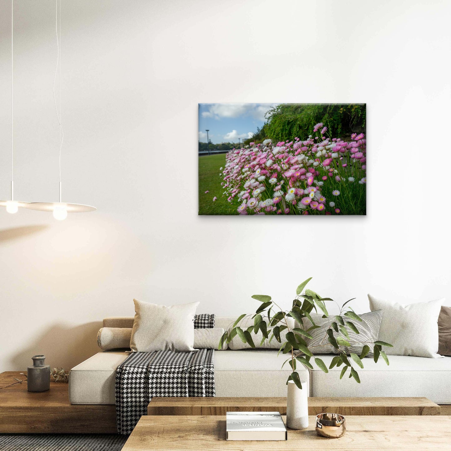 Australian Everlasting Paper Daisy Garden Wall Art Decor 100% Australian Made