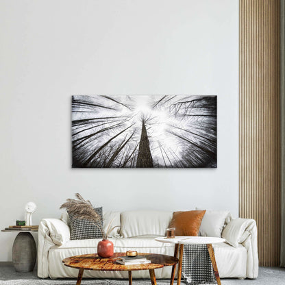 Low Angle View Of Trees Wall Art Canvas Office Home Room Framed 120x60cm