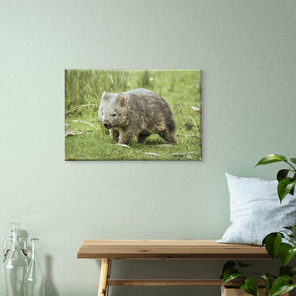 Wombat East Coast Tasmania Wall Art Decor 100% Australian Made