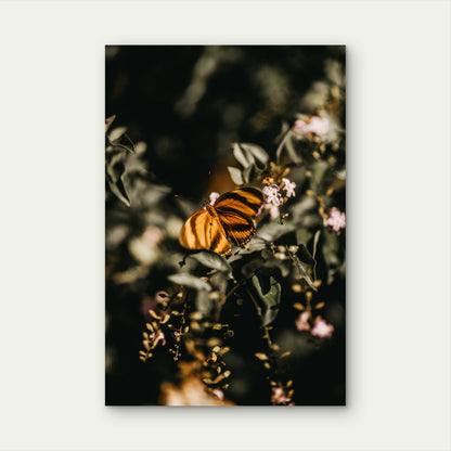 Striped Butterfly on Green Plant with Pink Flowers 60x90cm Metal Print Ready to Hang