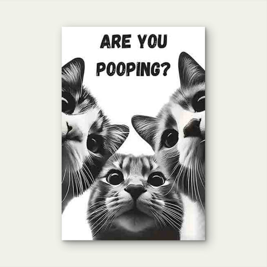 Three Wide-Eyed Cats with The Text ARE YOU POOPING 60x90cm Metal Print Ready to Hang