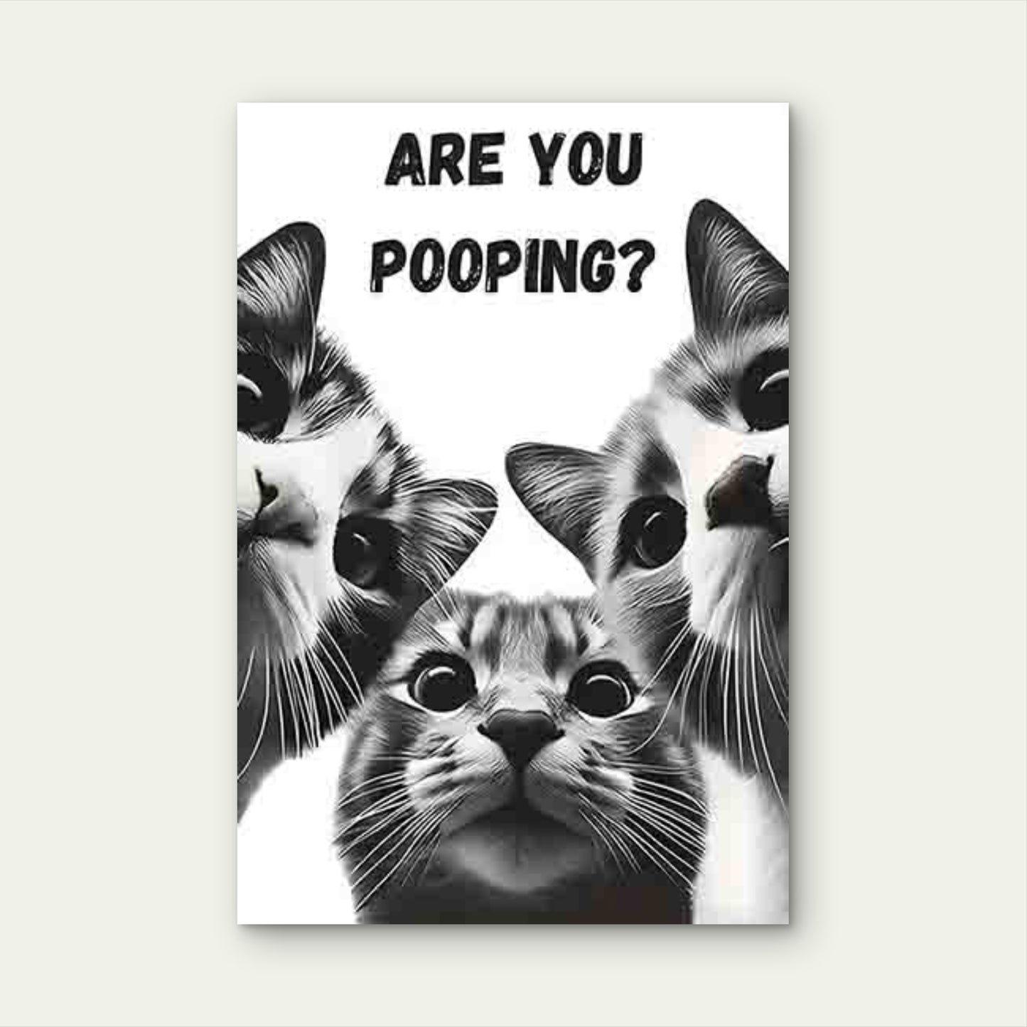 Three Wide-Eyed Cats with The Text ARE YOU POO 40x60cm Metal Print Ready to Hang - Bella Home Decor