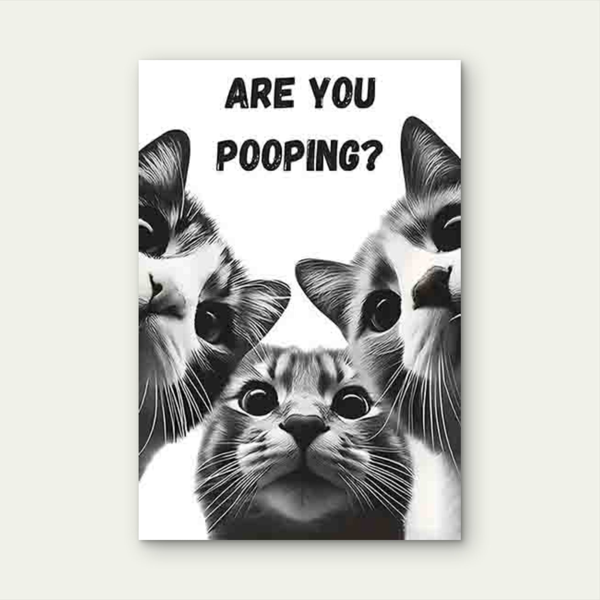 Three Wide-Eyed Cats with The Text ARE YOU POO 40x60cm Metal Print Ready to Hang - Bella Home Decor